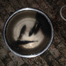 阿卢b06罗非鱼漂高灵敏度轻口黑坑野钓醒目芦苇浮漂专用钓鱼细尾浮标 LPB06(15目橙红柠檬黄细尾) 4号（吃铅约2.07克） 实拍图