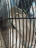 森和（SENHE）工业风扇趴地扇电风扇台式落地扇工地商用台扇坐地风扇爬地大功率工厂强力除甲醛大风力扇 【16寸商用】【八档-黑色】 实拍图