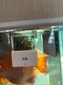 FISH BABY鱼缸温度计测水温观赏鱼水族箱专用家用防水小胖潜水 高精度LED数显屏(水温/室温二合一）温度计 实拍图