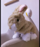 乐吉儿 儿童电动仿真毛绒兔兔公仔会跳会叫的小兔子跳跳兔生日礼物 实拍图