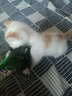 猫玩具 逗猫棒激光笔猫抓板猫转盘球宠物逗猫咪玩具套装 羽毛逗猫棒 实拍图