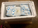 森蜂园 新鲜蜂王浆含冷冻礼盒蜂皇浆蜂王胎食物500g价保（250g*2） 实拍图