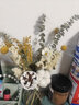 爱满（AIMAN） 玫瑰尤加利干花花束客厅玄关摆件ins北欧风拍照道具diy插花送礼 白罗兰棉花花束 无瓶 实拍图
