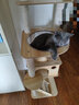 CHONLDERL猫爬架猫窝猫树一体大型太空舱通天柱猫架剑麻玩具猫抓板猫咪用品 【8层太空舱】猫乐园ML-2 实拍图