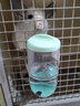祖莉（JOLLY）大容量防漏水壶水瓶饮水器兔子龙猫荷兰猪仓鼠用饮水瓶小宠用品 JP371薄荷绿500ml 实拍图