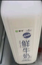 蒙牛山姆会员超市鲜牛奶巴氏杀菌乳纯鲜奶大桶儿童学生营养 鲜牛奶2L*1桶 实拍图