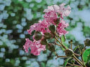 唯卓仕56mm F1.4富士口自动对焦镜头大光圈人像适用于XF卡口XT30 XS10 XS20 XT4 T5 XE4微单相机定焦镜头 黑色款-AF 56mm F1.4 XF（富士口） 官方标配+唯卓仕 实拍图