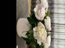朴记 创意陶瓷花瓶北欧简约客厅茶几电视柜插花餐桌面水培干花装饰摆件 白色单陶瓷 实拍图