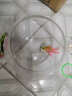 诺摩（NOMOY PET）圆形鱼缸生态金鱼缸乌龟缸超白玻璃小型鱼缸办公室迷你小鱼缸 大号套餐一 实拍图