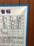 英语国际音标分类表挂图海报英文字母元音辅音宣传画SCM76 可折叠防水油画布 80*60厘米 实拍图