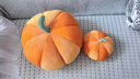 物枕居 北欧现代简约ins风小南瓜可爱抱枕靠垫沙发客厅飘窗网红轻奢床头 橘色南瓜抱枕 35cm(送18CM) 实拍图