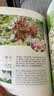 燕园草木（普及本） 实拍图