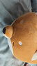 名创优品（MINISO）柴犬系列毛绒公仔趴姿玩具娃娃抱枕睡觉室内卧室办公室生日礼物 实拍图