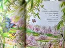 四季的歌 迎春花开了  实拍图