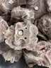 额尔敦羊蝎子 内蒙古锡盟草原羔羊肉 清真 国产地标羊肉 生鲜 火锅食材 2斤装 实拍图