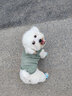 宠星记 宠物衣服 小型犬狗狗 小猫咪 冬季居家防飘毛 泰迪比熊雪纳瑞 绿色大号XL 胸围41-45cm 实拍图