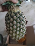 益生恩海南金钻凤梨带叶菠萝精选品质皮薄眼小当季新果香味浓郁脆甜多汁 大果5斤装（净重4.5-5斤） 实拍图