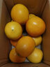 田澄鲜 正宗赣南脐橙早当季新鲜橙子江西橙新鲜采摘当季水果产地直发礼 【30%人选】净重4.5斤单个150g+ 实拍图