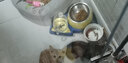 憨憨乐园 猫碗陶瓷猫咪猫粮双碗幼猫用食盆狗狗碗饭碗宠物饮水粮碗 粉色 双碗 实拍图