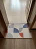 宝丽彩可擦洗地垫门垫进门入户门脚垫门口地垫家用客厅卫生间厨房防滑垫 简约时尚 45*75cm 实拍图