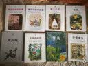 魔堡（夏洛书屋第四辑39 美绘版）“没头脑和不高兴”作者任溶溶经典译本 实拍图