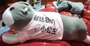 立曼大熊公仔睡觉布洋娃娃女生抱抱熊毛绒玩具玩偶特大号泰迪熊猫礼物 小熊宝白宠你入心 爱你到老 全长2米【彩袋+代写贺卡】 实拍图