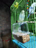 喜帅 鸟用饮水器80ml蓝色2个装 鸟自动喂食器鹦鹉鸟笼鸽子笼用品配件 实拍图