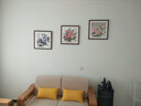 紫腾随轩新中式牡丹花开富贵装饰画客厅餐厅背景墙画卧室床头挂画壁画 图6 50*50cm红木色实木框 实拍图