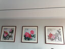 紫腾随轩新中式牡丹花开富贵装饰画客厅餐厅背景墙画卧室床头挂画壁画 图5 70*70cm红木色实木框 实拍图