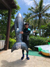 INTEX火烈鸟游泳圈玩具成人儿童水上玩具坐骑独角兽泳池充气浮床 写实鲨鱼坐骑【脚泵】 实拍图