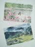 春天，我想去田野里采一朵花(花入馔，春上桌——从赏花到吃花的千年风雅！入榜《中国青年报》“读者*喜欢书籍”、浦东图书馆“你选我读好书榜”) 实拍图