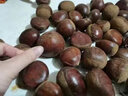 绿鲜森板栗新鲜丹东野生现摘应季蔬菜毛栗子 2.5kg 精选大果 实拍图