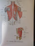LWW解剖学精要图谱：胸部、腹部和盆部 实拍图