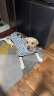 多尼斯（DOGNESS）狗狗牵引绳遛狗绳狗链子项圈大型犬阿拉斯加萨摩耶哈士奇 黑XL 实拍图