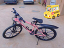 凤凰（Phoenix）山地自行车24/27速山地车26寸三套密封轴承碟刹新款公路越野男女 26寸-热粉 十刀一体轮 30速顺泰【三套密封轴承】 实拍图