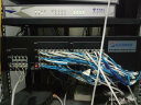华三（H3C）16口千兆交换机 非网管企业级交换器 网络网线分流器 机架式 16口千兆电+2千兆光口 S1218F 实拍图