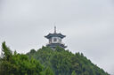二手尼康70-200 80-400 70-300 一代二代 大小竹炮电磁炮长焦单反超长焦打鸟远摄镜头 AF-S 70-200 2.8G VR 1代小竹炮 【99新】 实拍图