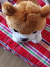 雅德森 小狗狗毛绒玩具博美犬哈士奇狗公仔抱枕男女生日礼物 红色 35cm 实拍图