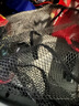 达亿瓦（DAIWA） NET CS (A) 短柄抄网 轻量捞鱼网兜 抄网头 黑色 实拍图