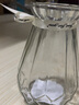 神瓶八玻玻璃花瓶摆件家用玻璃瓶客厅透明创意插花瓶家居欧式小清新水培瓶 15水中花透明 实拍图
