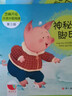 芝麻开花汉语分级阅读 第三级（10册）拼音识字 3-8岁幼儿园早教启蒙一年级儿童教育学前阅读与识字故事绘本 实拍图