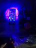 夜钓灯超长续航手电筒四光源充电防水变焦钓鱼灯夜钓灯白蓝黄紫光大功率捕蝎子户外落地垂钓灯手电筒 恒流四光源钓箱支架套餐 实拍图