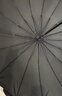 天珩机械德国TH-MECH双层自动雨伞长柄超大号加固加厚结实抗风三双人伞男 德国天珩真32骨-经典黑180CM 实拍图