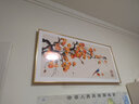 禾画新中式餐厅装饰画柿柿如意壁画客厅沙发背景挂画饭厅装饰画客厅画 柿柿如意-C款（特价） 100*50【晶瓷画+铝合金框】 实拍图