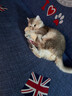 hoopet逗猫棒激光笔图案猫玩具解闷USB充电红外线猫爪逗猫神器猫藓灯 激光笔红灯图案+木天蓼玲珑球 实拍图