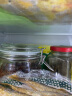 喜碧（Scybe）玻璃密封罐  家用玻璃泡酒泡菜瓶奶粉茶叶储物罐蜂蜜瓶干果零食收纳 潘多拉500ml 实拍图