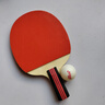 红双喜乒乓球拍专业级狂飙3比赛用星级乒乓球拍带拍套【发顺丰】 【初学款】正反胶直拍+6乒乓球 实拍图