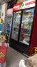 喜莱盛展示柜冷藏保鲜柜便利店冰箱饮料柜士多陈列柜商用冰箱超市冰柜水果烧烤酸奶啤酒柜留样柜G小尺寸 四门风冷|大屏网红2225*600*1830 冷藏保鲜/饮料/水果/果蔬适用 实拍图