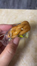 黄老五小麻花酥四川特产多口味传统中式糕点麻花休闲零食独立小包装 【2袋】麻花酥500g*2袋（原味） 实拍图