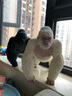 RECUR恐龙玩具超大号霸王龙猩猩金刚仿真动物玩具儿童软胶模型摆件 山地大猩猩（白色）（R8149W） 实拍图